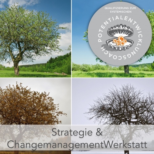 Perspektive VeränderungsManagement & StrategieCoaching