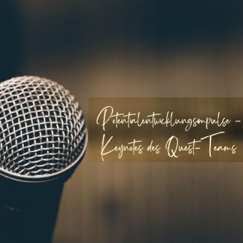 PotentialEntwicklungsImpulse